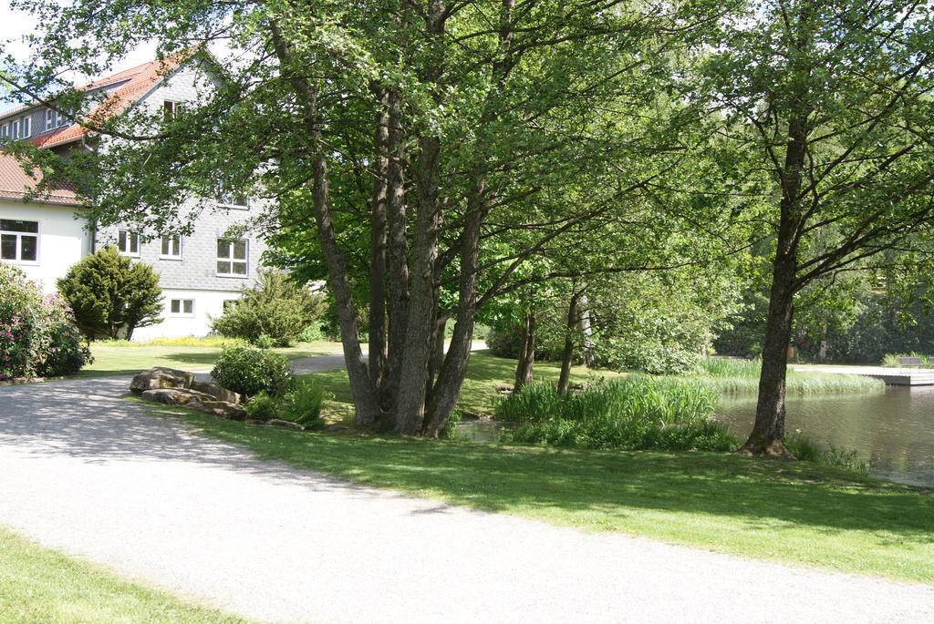 Hotel Hotel Braunlage